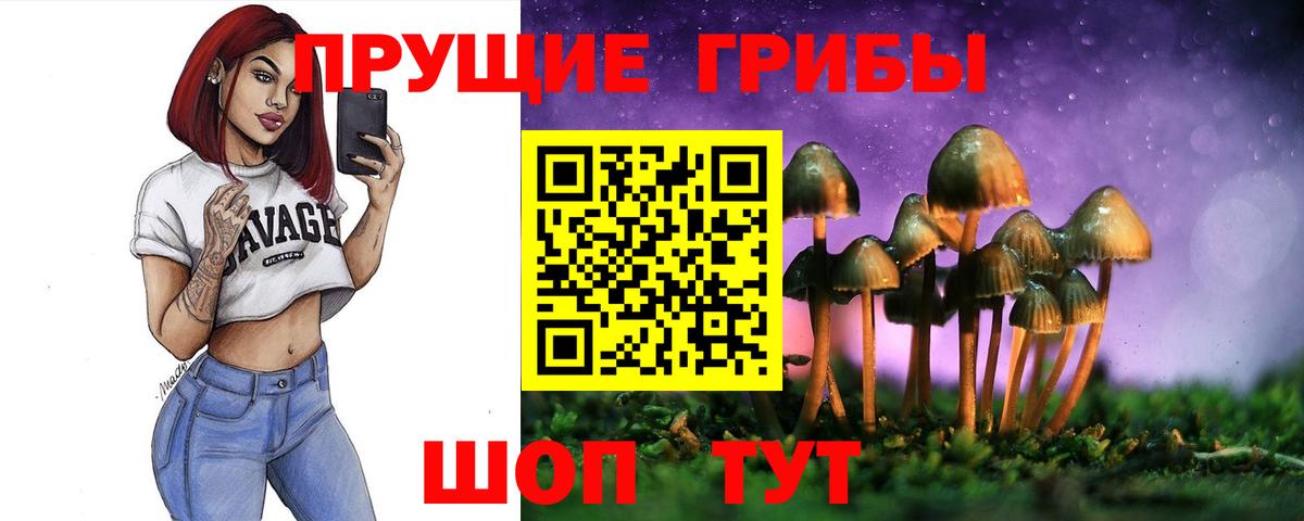где можно купить наркотик  Вход с VPN  Галлюциногенные грибы MAGIC MUSHROOMS  Горячий Ключ  Псилоцибиновые грибы MAGIC MUSHROOMS 